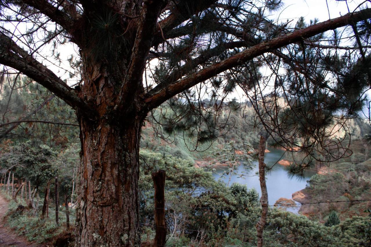 Cabanas Refugio Himalaya กัวตาเป ภายนอก รูปภาพ